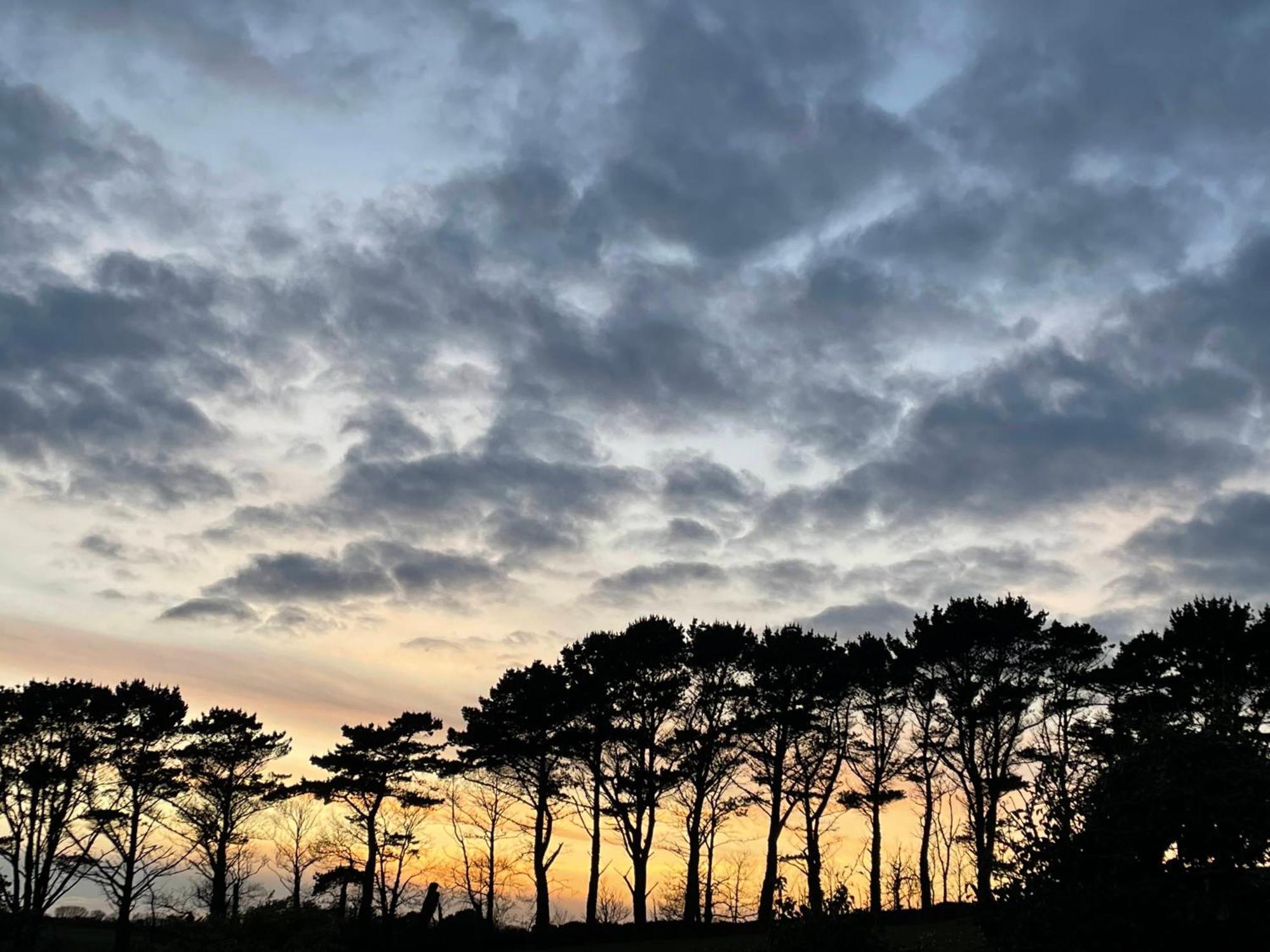 Fowey River Views 外观 照片